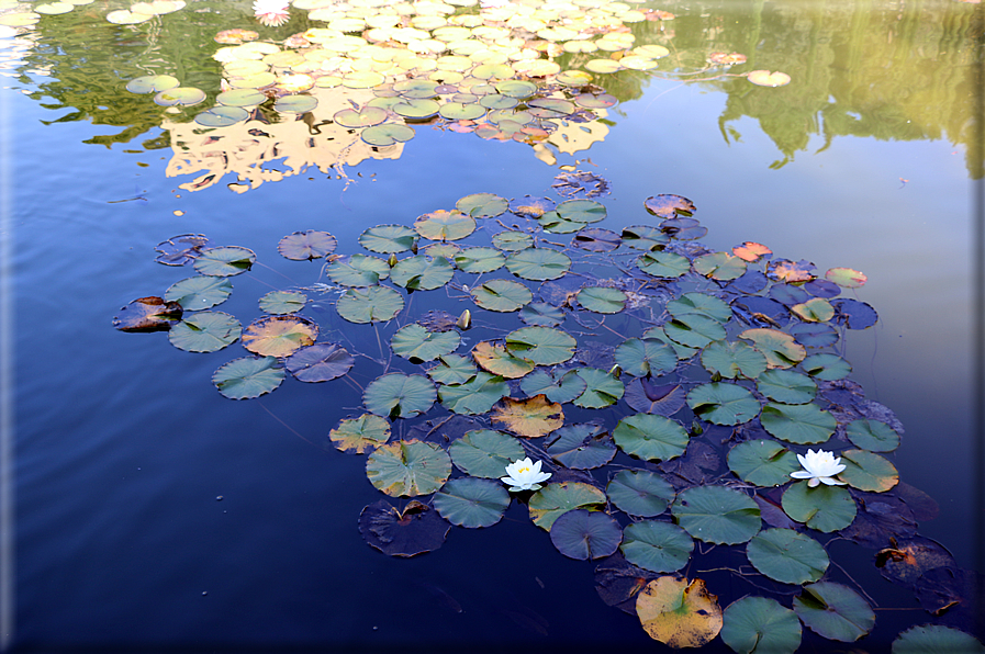 foto Giardini Trauttmansdorff - Giardini acquatici